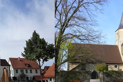 Gottesdienste online